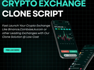 enter-the-crypto-market-faster-with-a-readymade-crypto-exchange-clone-script