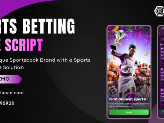sports-betting-clone-scripts-launch-your-crash-betting-platform-with-ease